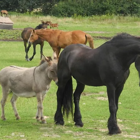 Haeuschen Ueber Der Lanke * Wuthenow