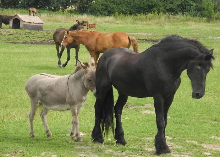 Haeuschen Ueber Der Lanke * Wuthenow